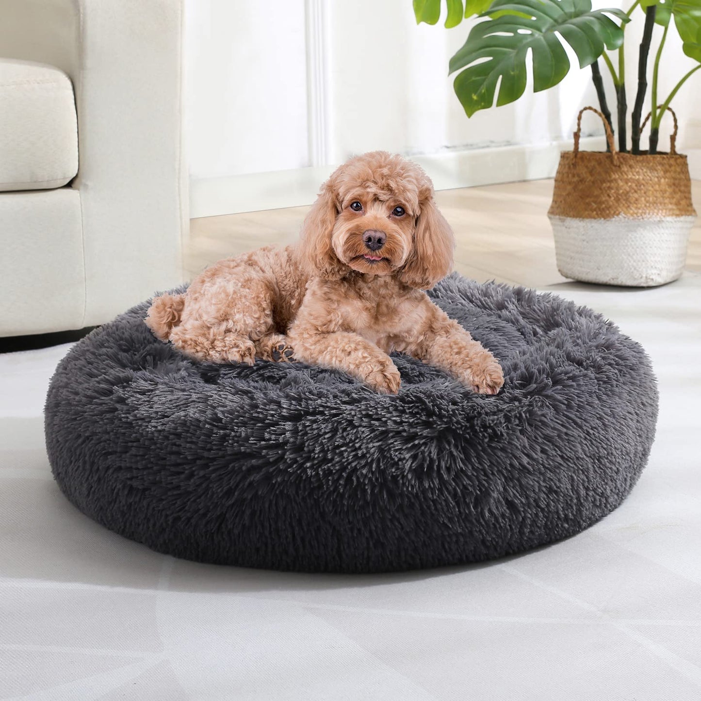 JOLLYVOGUE Small Dog Bed, Calming Soft Anti-Anxiety Donut Cat Bed, Washable Round Fluffy Cushion for Small and Medium Pets (20")
