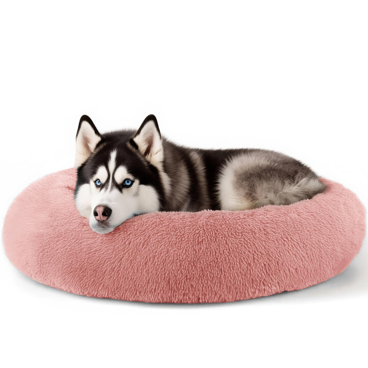 Hoewina Dog & Cat Bed for Indoor Cats, 20in Calming Donut Bed for Puppy and Kitten, Washable Round Fluffy Pet Bed for Small Medium Dogs and Cats (Light Grey)