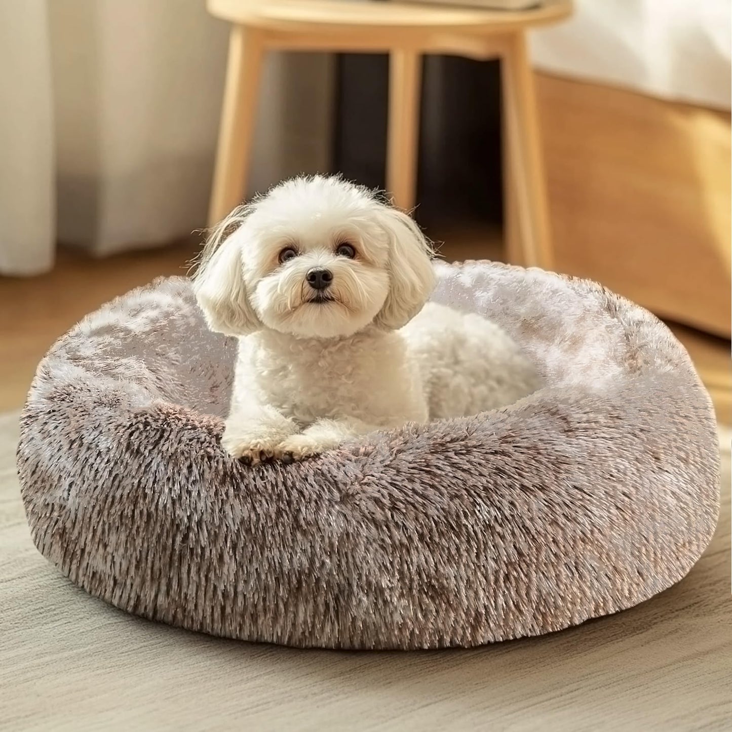 JOLLYVOGUE Small Dog Bed, Calming Soft Anti-Anxiety Donut Cat Bed, Washable Round Fluffy Cushion for Small and Medium Pets (20")