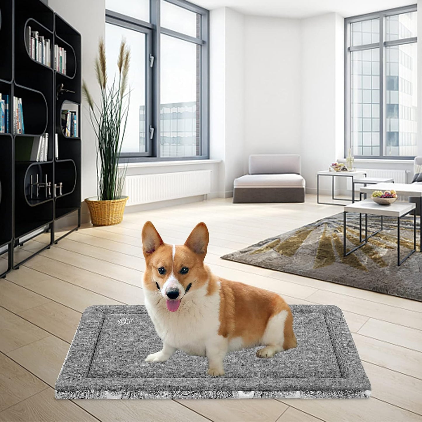 EMPSIGN Dog Crate Pad - Reversible Kennel Mat (Cool & Warm), Machine Washable, Cozy Star Pattern Sleeping Pad for Small Medium Large Dogs, All-Season Pet Bed, Suitable for 30"x20" Dog Crate, Grey
