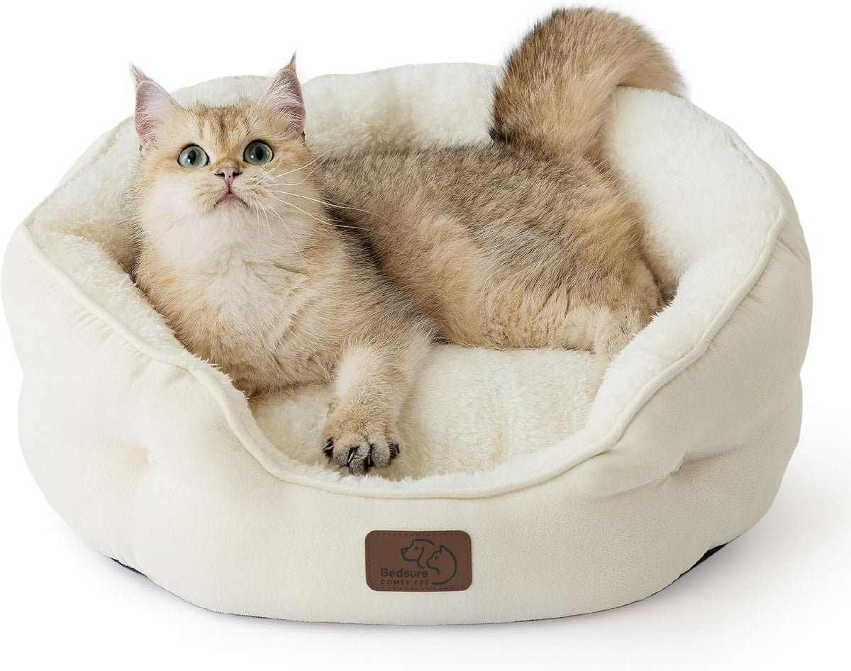 Bedsure Small Dog Bed Washable,Round Cat Beds for Indoor Cats,20in Ivory | Soft plush pet bed,dog beds for small dogs for puppy and kittens,Anti-Slip bottom,easy to clean