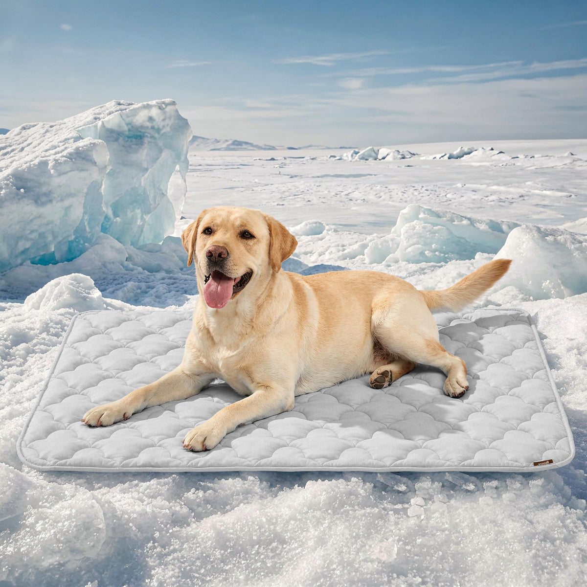 ZOMISIA Dog Cooling Mat for Extra Large Dogs, Q-Max>0.5 Thin Breathable Crate Pad for Pet, Portable Washable Kennel Pad for Summer Outdoor, 41x27, Blue