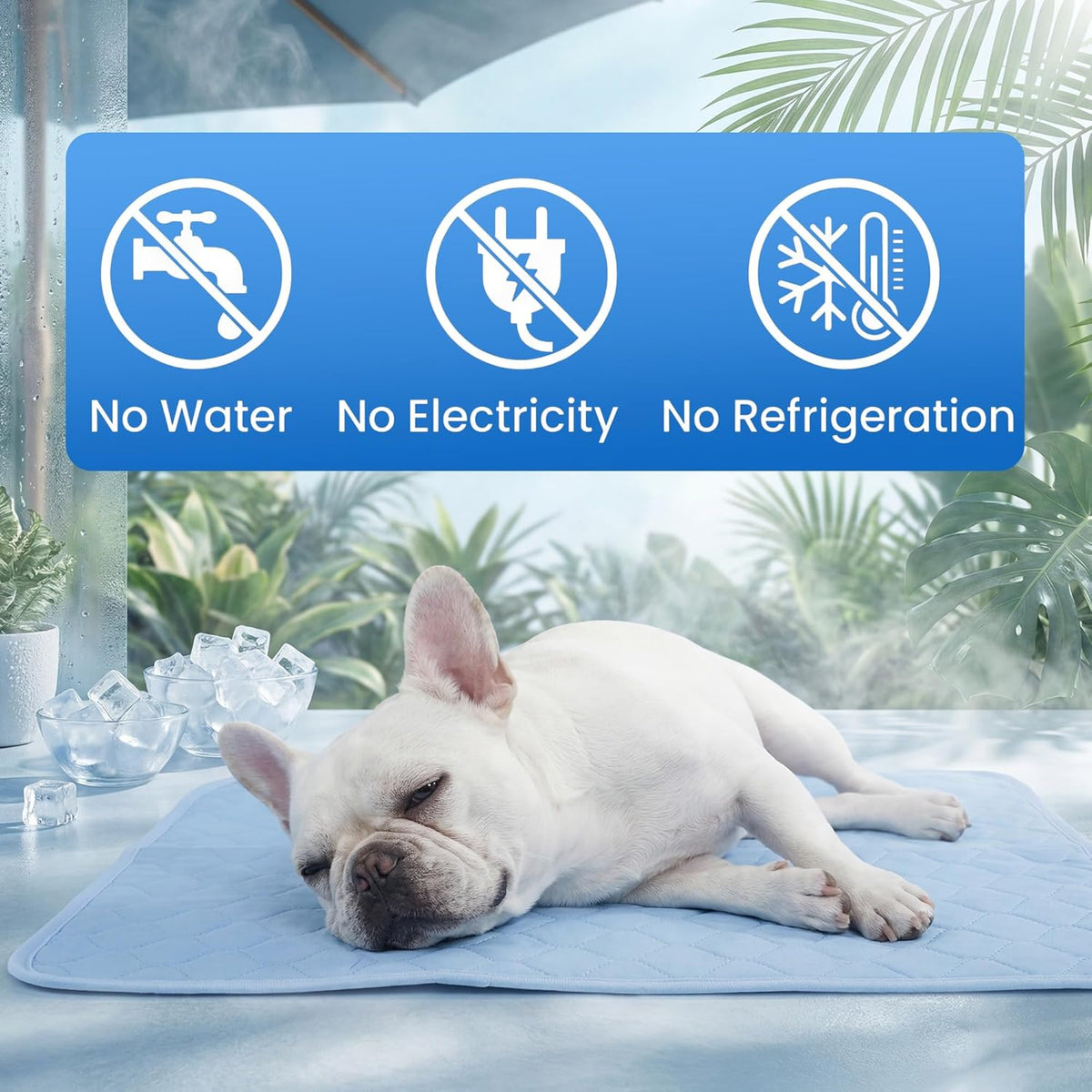PatiencET Dog Cooling Mat, 22 x 28 in No-Gel Cooling Pad for Small Dogs, Puppies and Cats, Cool Touch Nylon Pet Mat, Washable Summer Dog Mat for Crate, Floor, Sofa, Car, Blue