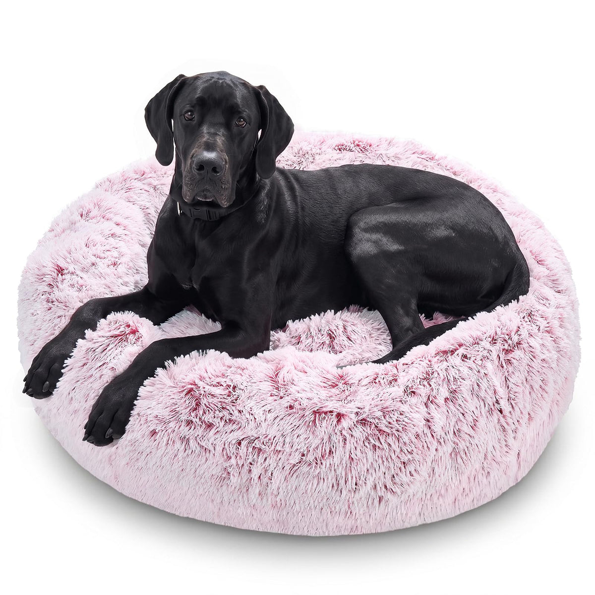 JOLLYVOGUE Small Dog Bed, Calming Soft Anti-Anxiety Donut Cat Bed, Washable Round Fluffy Cushion for Small and Medium Pets (20")