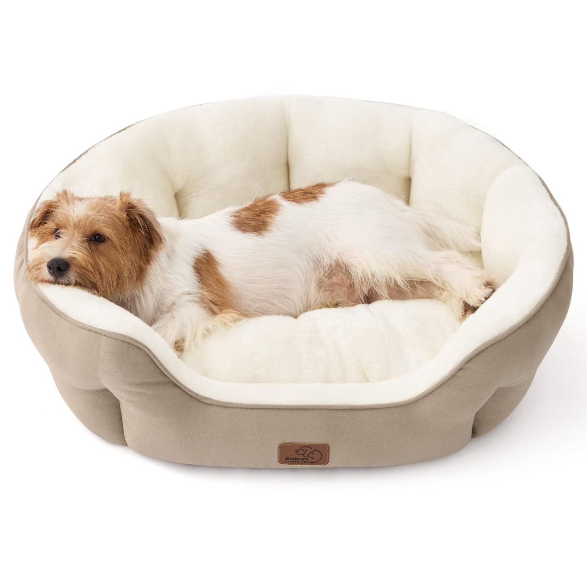 Bedsure Small Dog Bed Washable,Round Cat Beds for Indoor Cats,20in Ivory | Soft plush pet bed,dog beds for small dogs for puppy and kittens,Anti-Slip bottom,easy to clean