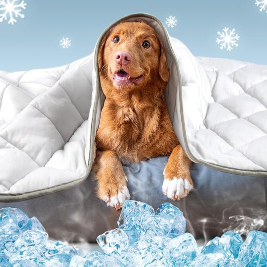 Leekalos Dog Cooling Mat,Pet Cooling Pads for Dogs Blanket,Summer Cooling Bed for Cats Blanket,Portable Pet Cooling Cushion for Home & Outdoor，Keep Cooling for Pets (Cool Grey, Small(22"x28"))