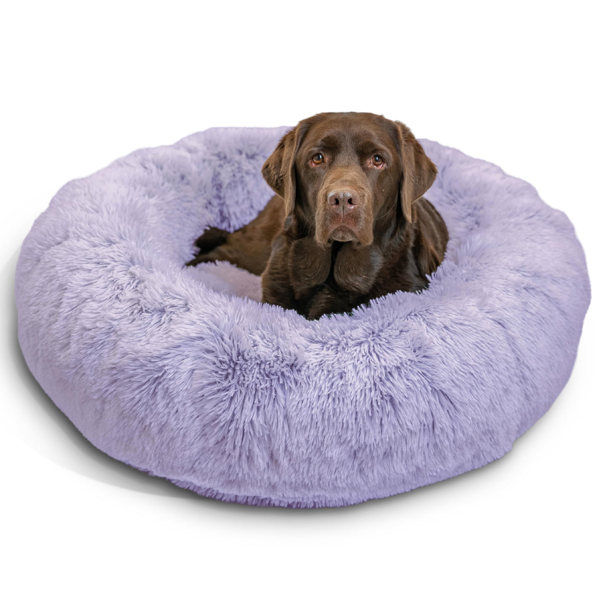 Best Friends by Sheri The Original Calming Donut Dog Bed for Small Dogs up to 25 lbs, Shag Faux Fur, Frost Gray, 23" x 23"