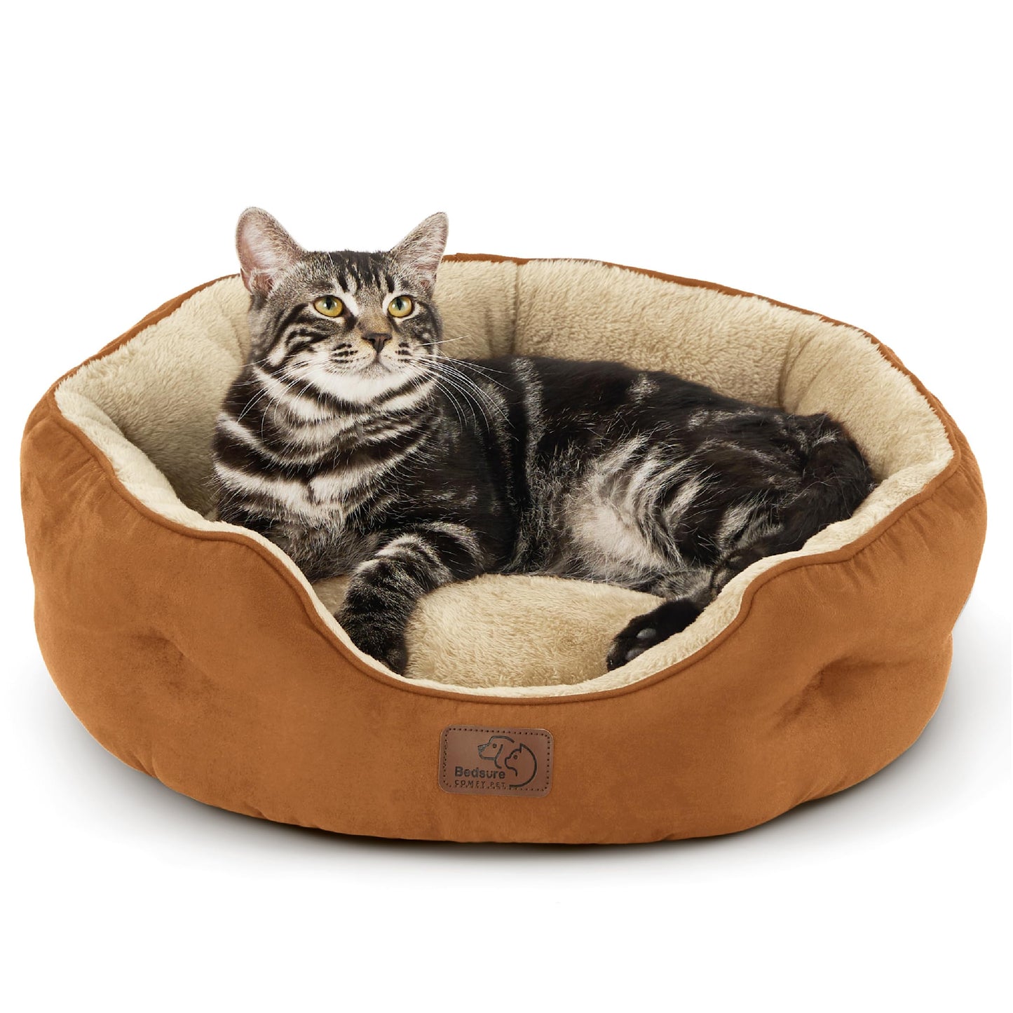 Bedsure Small Dog Bed Washable,Round Cat Beds for Indoor Cats,20in Ivory | Soft plush pet bed,dog beds for small dogs for puppy and kittens,Anti-Slip bottom,easy to clean