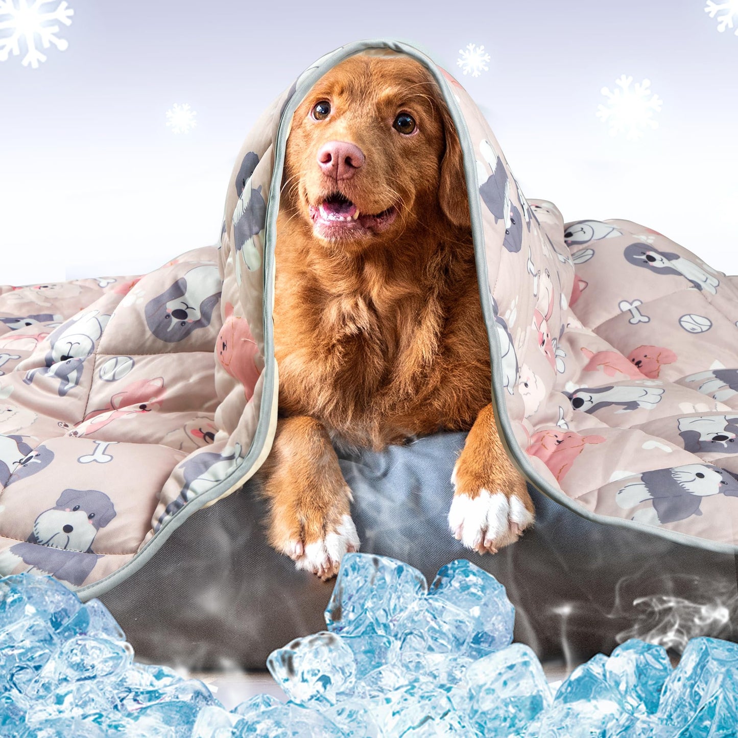Leekalos Dog Cooling Mat,Pet Cooling Pads for Dogs Blanket,Summer Cooling Bed for Cats Blanket,Portable Pet Cooling Cushion for Home & Outdoor，Keep Cooling for Pets (Cool Grey, Small(22"x28"))