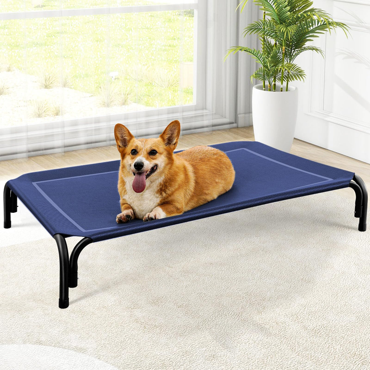 Czpalo Outdoor Elevated Dog Bed for Large Sized Dogs, No-Tool Assembly. | Raised design promotes airflow. Tool-free assembly, easy-to-clean mesh, portable, with anti-skid feet. Indoor/outdoor use.