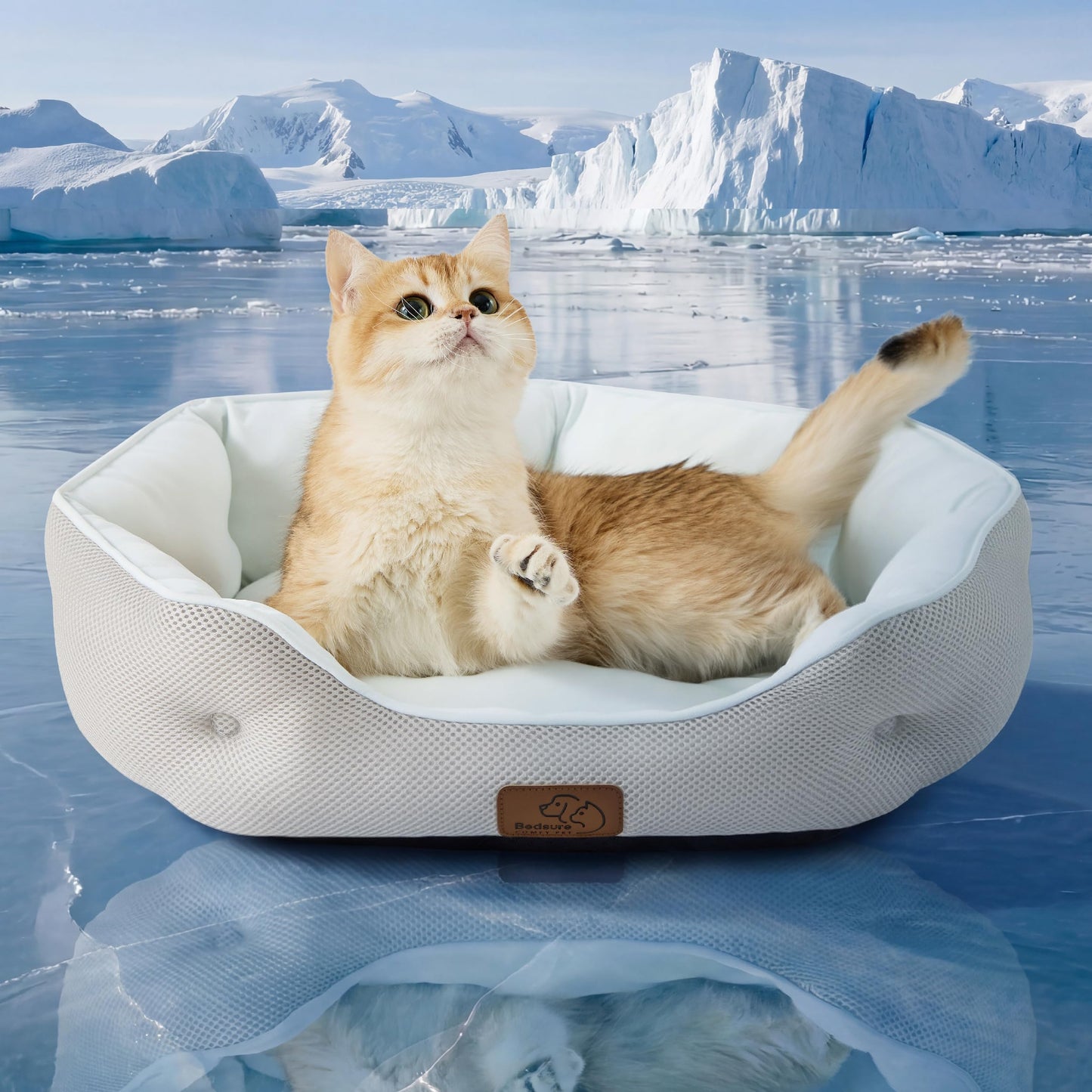 Bedsure Small Dog Bed Washable,Round Cat Beds for Indoor Cats,20in Ivory | Soft plush pet bed,dog beds for small dogs for puppy and kittens,Anti-Slip bottom,easy to clean