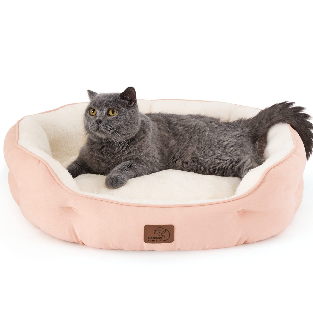 Bedsure Small Dog Bed Washable,Round Cat Beds for Indoor Cats,20in Ivory | Soft plush pet bed,dog beds for small dogs for puppy and kittens,Anti-Slip bottom,easy to clean