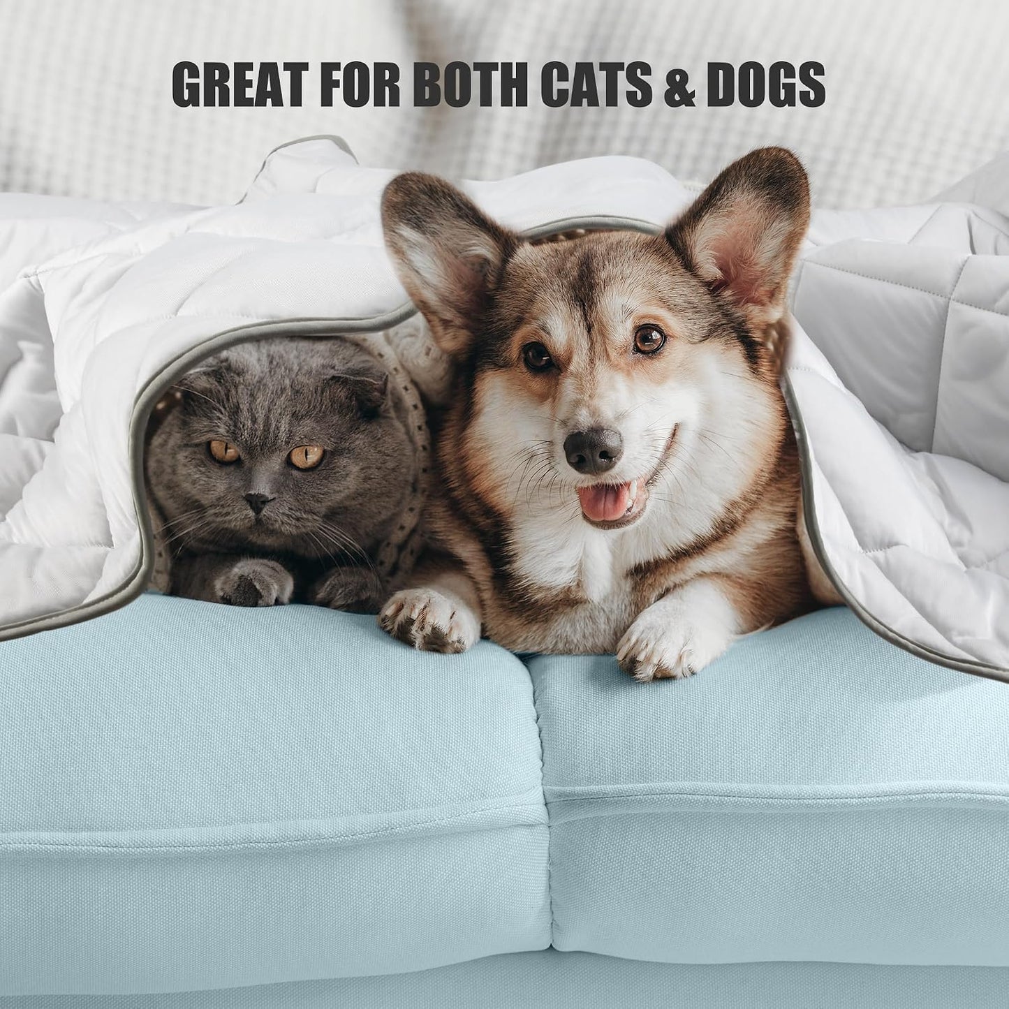 Leekalos Dog Cooling Mat,Pet Cooling Pads for Dogs Blanket,Summer Cooling Bed for Cats Blanket,Portable Pet Cooling Cushion for Home & Outdoor，Keep Cooling for Pets (Cool Grey, Small(22"x28"))