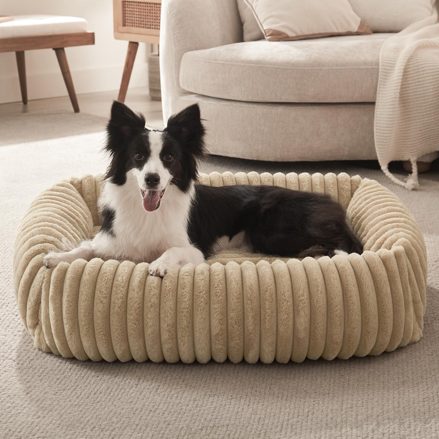FURTIME Dog Bed for Small Dogs, Washable Orthopedic Dog Bed with Removable Cover, Rectangle Soft Calming Sleeping Puppy Bed Durable Pet Cuddler with Anti-Slip Bottom, Cream, S (20"x19"x6")