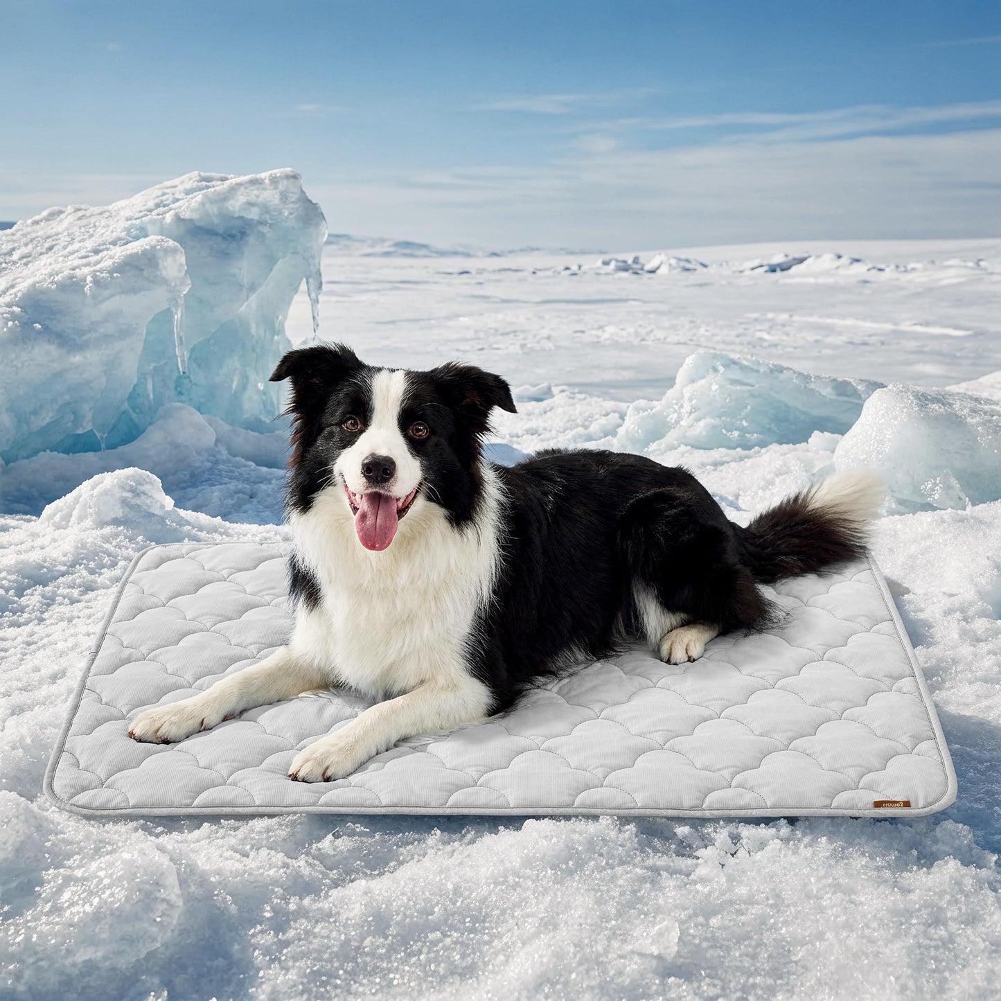 ZOMISIA Dog Cooling Mat for Extra Large Dogs, Q-Max>0.5 Thin Breathable Crate Pad for Pet, Portable Washable Kennel Pad for Summer Outdoor, 41x27, Blue