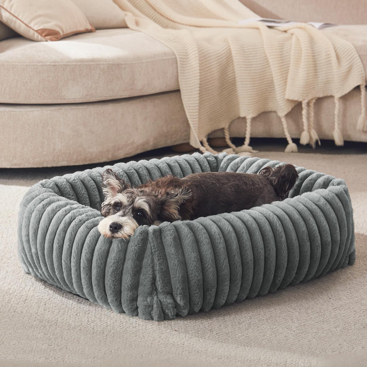 FURTIME Dog Bed for Small Dogs, Washable Orthopedic Dog Bed with Removable Cover, Rectangle Soft Calming Sleeping Puppy Bed Durable Pet Cuddler with Anti-Slip Bottom, Cream, S (20"x19"x6")