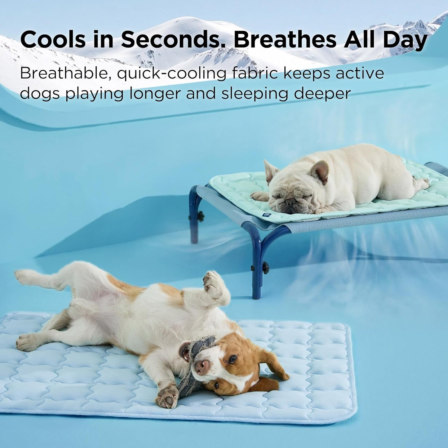 Bedsure Cooling Dog Mat Extra Large, Q-Max>0.5 XL Thin Breathable Cold Crate Pad for Pet, Portable Washable Kennel Bed for Summer Active Dog with Chill Soothing Fabric to Rapid Cooling, 41x28, Blue