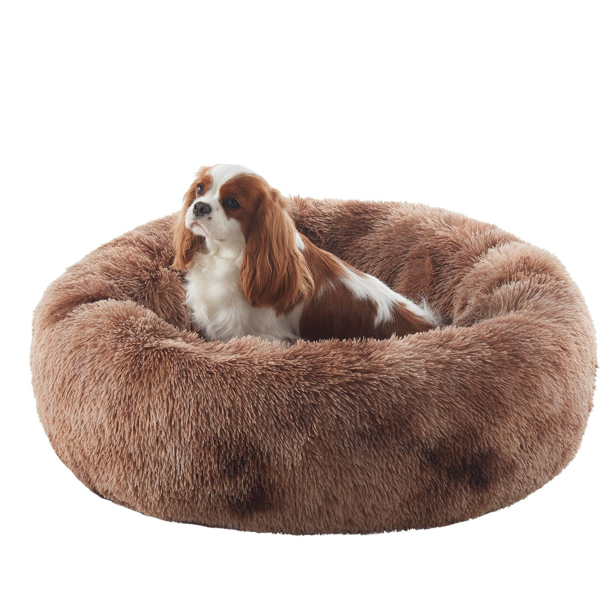 36 inches Donut Dog Bed for Large Dogs - Calming Fluffy Round Pet Bed with Removable & Washable Cover,Fits up to 80 lbs Pets (Dark Grey,Large)
