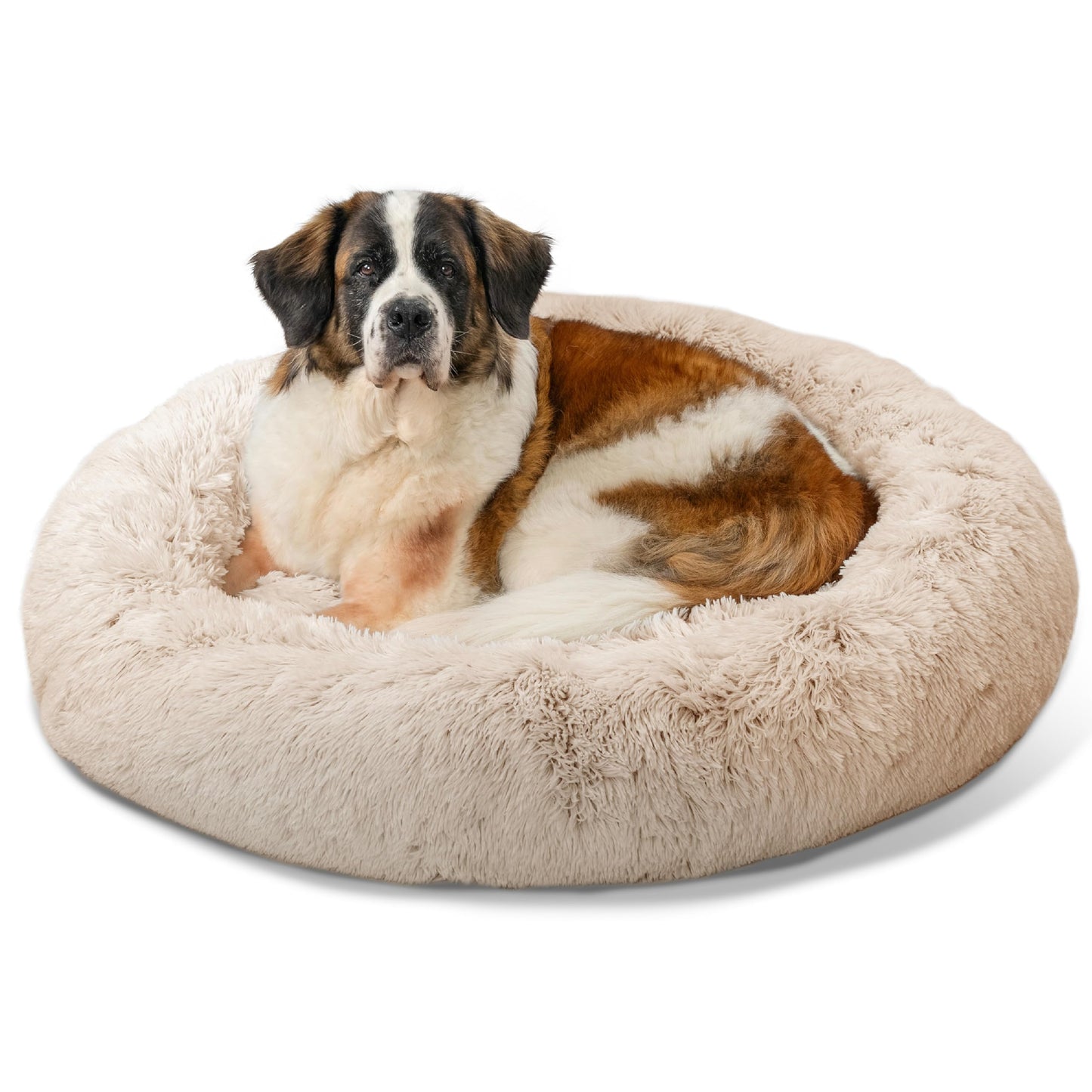 Best Friends by Sheri The Original Calming Donut Dog Bed for Small Dogs up to 25 lbs, Shag Faux Fur, Frost Gray, 23" x 23"
