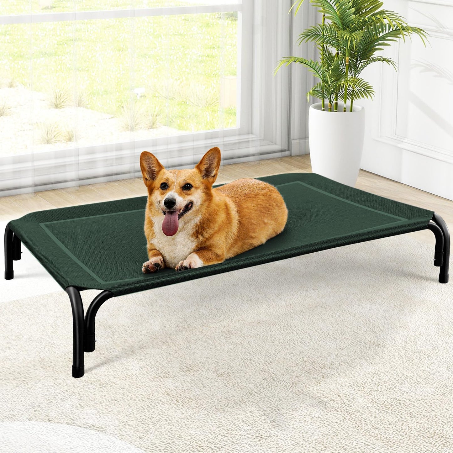 Czpalo Outdoor Elevated Dog Bed for Large Sized Dogs, No-Tool Assembly. | Raised design promotes airflow. Tool-free assembly, easy-to-clean mesh, portable, with anti-skid feet. Indoor/outdoor use.
