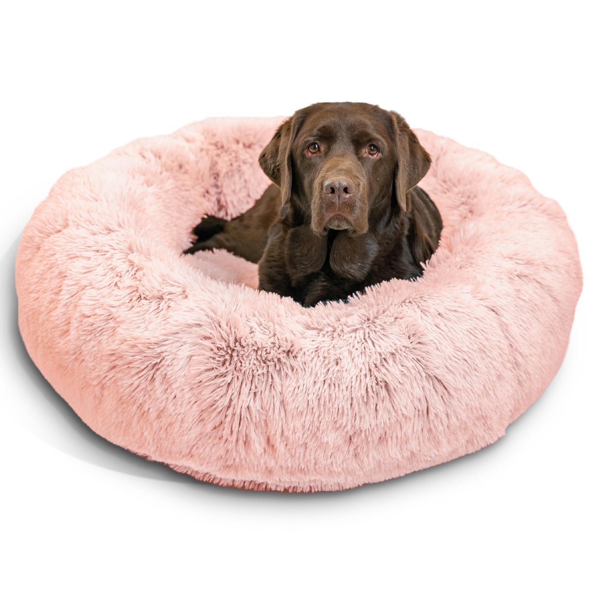 Best Friends by Sheri The Original Calming Donut Dog Bed for Small Dogs up to 25 lbs, Shag Faux Fur, Frost Gray, 23" x 23"