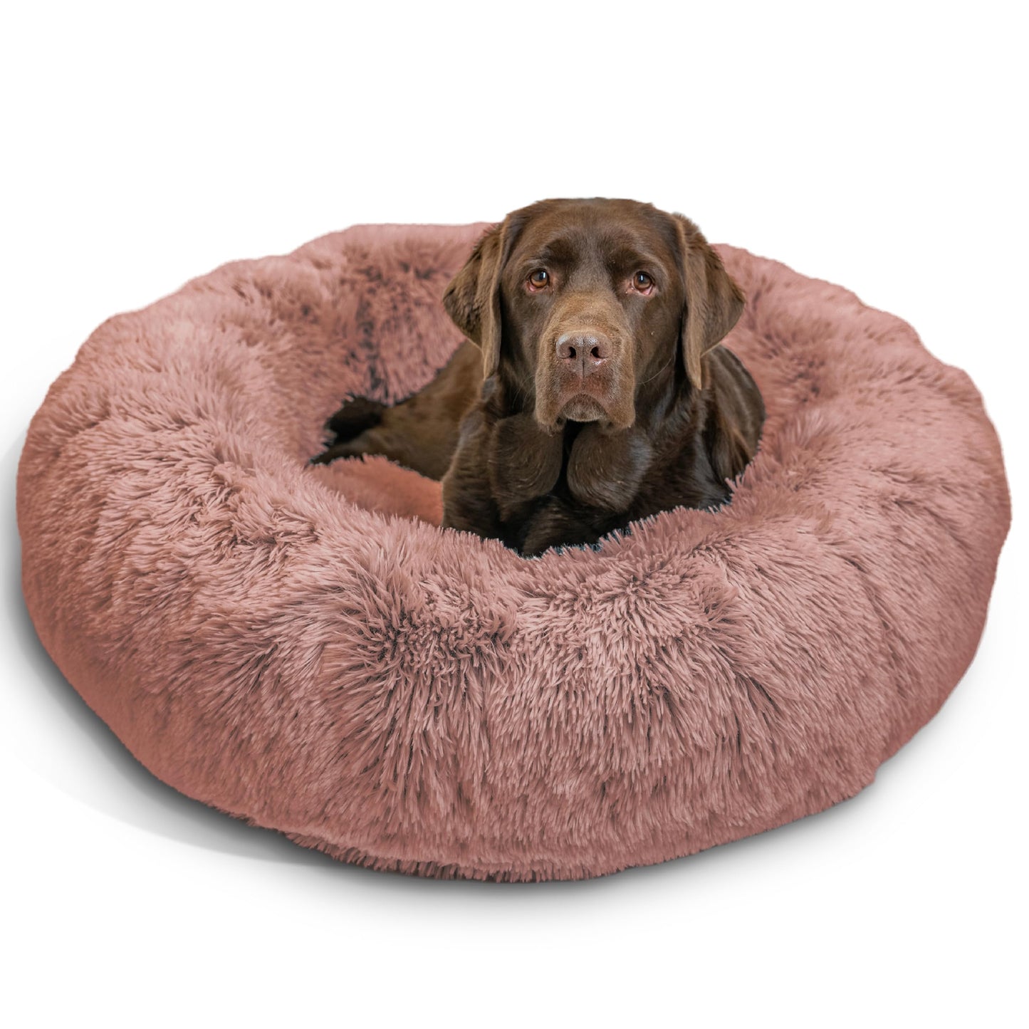 Best Friends by Sheri The Original Calming Donut Dog Bed for Small Dogs up to 25 lbs, Shag Faux Fur, Frost Gray, 23" x 23"