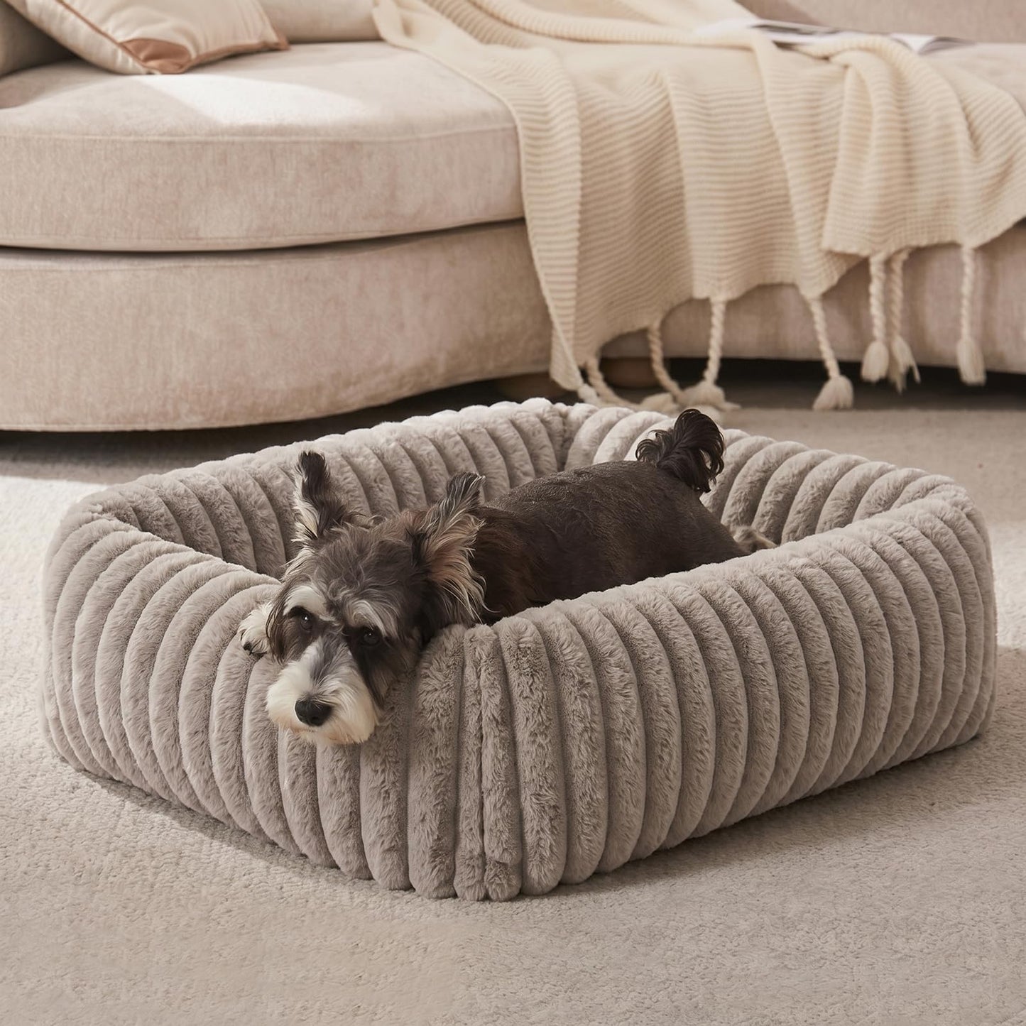 FURTIME Dog Bed for Small Dogs, Washable Orthopedic Dog Bed with Removable Cover, Rectangle Soft Calming Sleeping Puppy Bed Durable Pet Cuddler with Anti-Slip Bottom, Cream, S (20"x19"x6")