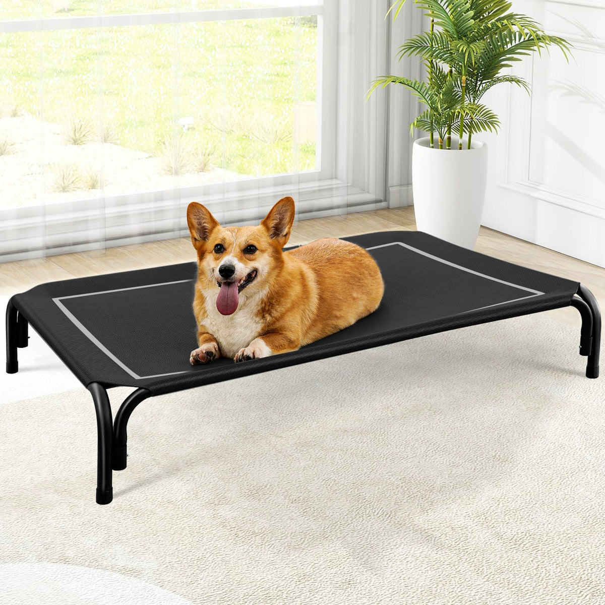 Czpalo Outdoor Elevated Dog Bed for Large Sized Dogs, No-Tool Assembly. | Raised design promotes airflow. Tool-free assembly, easy-to-clean mesh, portable, with anti-skid feet. Indoor/outdoor use.