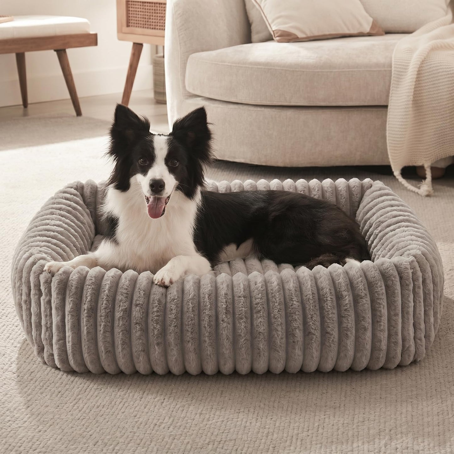 FURTIME Dog Bed for Small Dogs, Washable Orthopedic Dog Bed with Removable Cover, Rectangle Soft Calming Sleeping Puppy Bed Durable Pet Cuddler with Anti-Slip Bottom, Cream, S (20"x19"x6")
