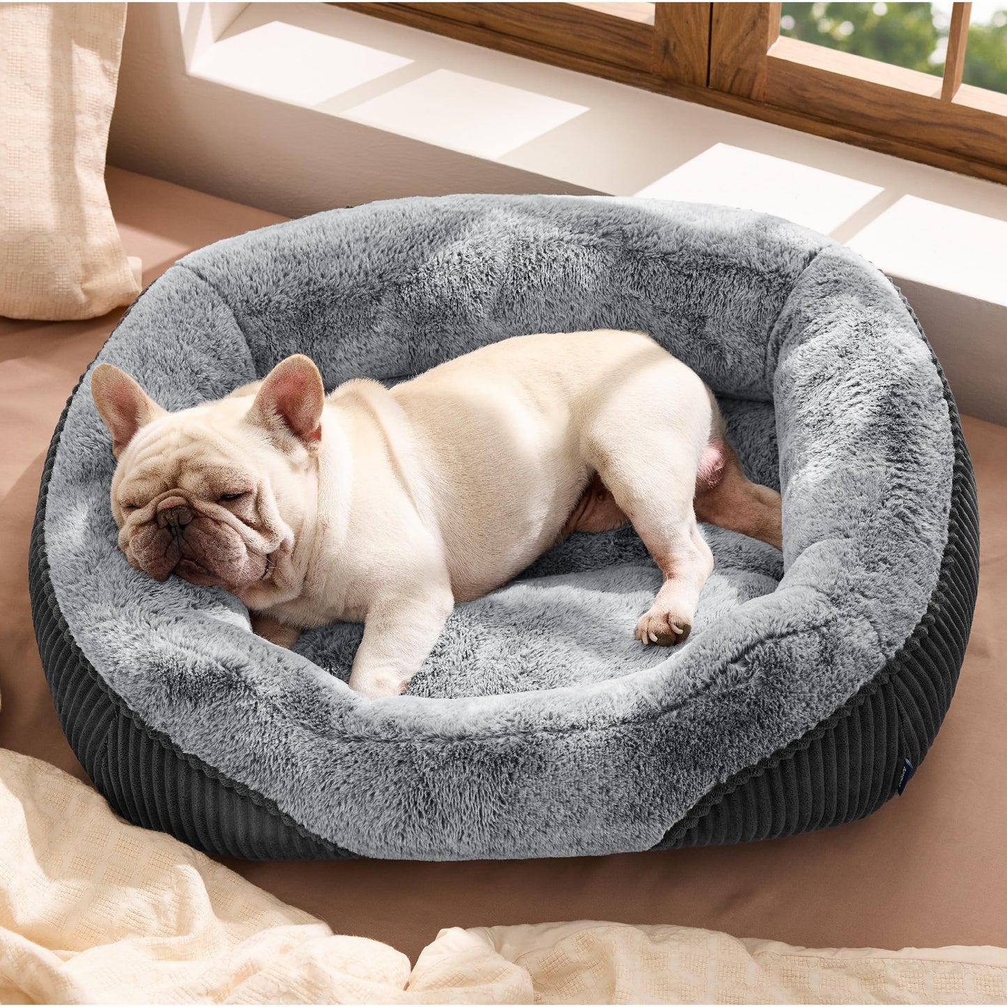 Bedsure Washable Dog Bed Small Medium Size Dog - Rectangle Fluffy Plush Pet Bed Puppy Bed, Comfy Corduroy Fleece and Nonskid Bottom,25x21x7inches,Suitable for Pet Up to 20lbs,Grey
