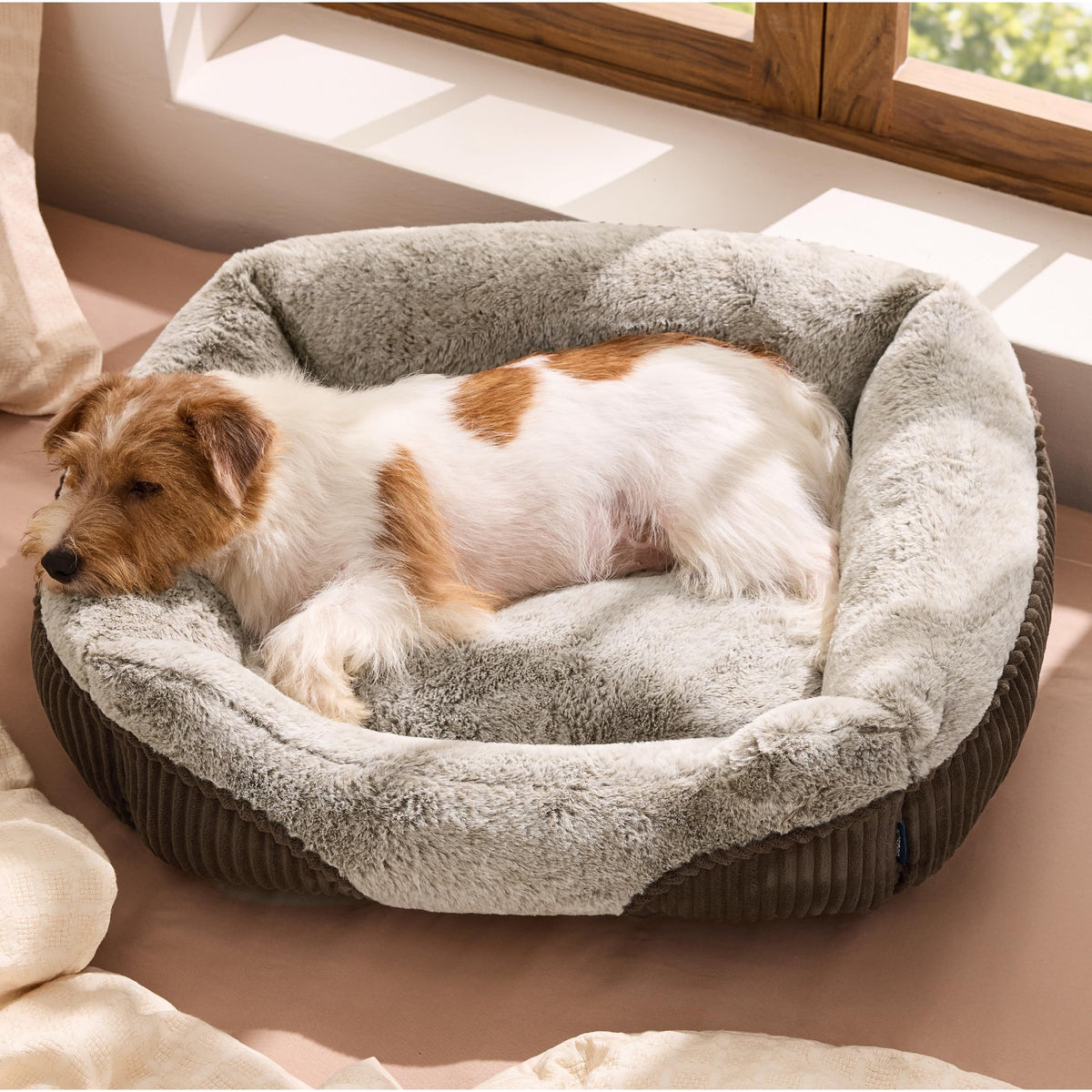 Bedsure Washable Dog Bed Small Medium Size Dog - Rectangle Fluffy Plush Pet Bed Puppy Bed, Comfy Corduroy Fleece and Nonskid Bottom,25x21x7inches,Suitable for Pet Up to 20lbs,Grey