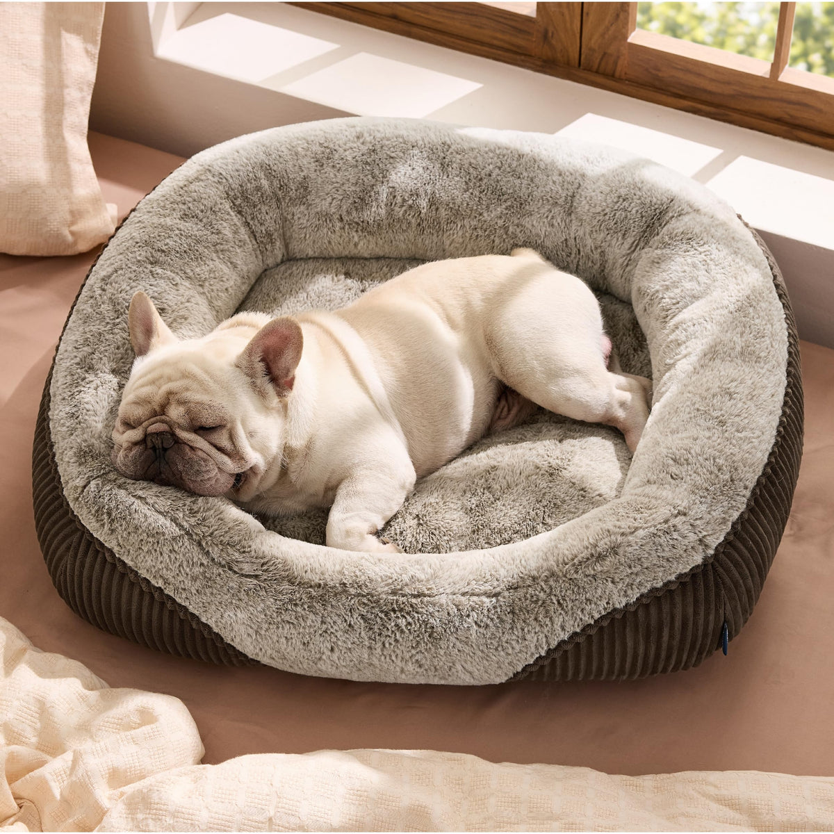Bedsure Washable Dog Bed Small Medium Size Dog - Rectangle Fluffy Plush Pet Bed Puppy Bed, Comfy Corduroy Fleece and Nonskid Bottom,25x21x7inches,Suitable for Pet Up to 20lbs,Grey